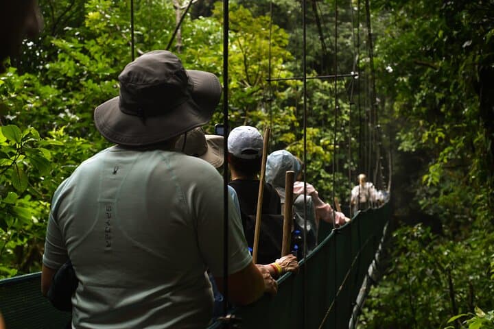 Rainforest Hanging Bridges & Sloth Sanctuary Tour from Liberia photo 6