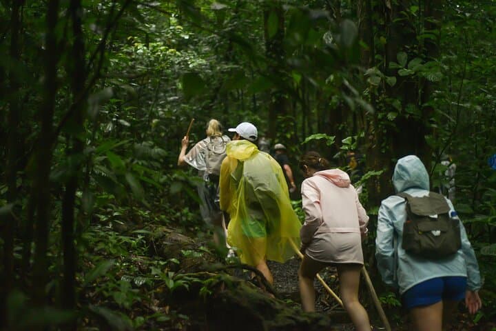 Rainforest Hanging Bridges & Sloth Sanctuary Tour from Liberia photo 4