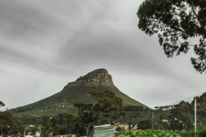 Full-Day Cape Peninsula Tour: Cape Point, Boulders Beach & Coastal Sights photo 2