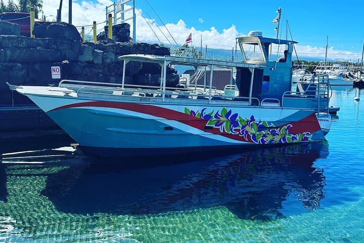 Private Kona Coast Catamaran: 4-Hour Snorkel, Dolphin & Manta Ray Charter