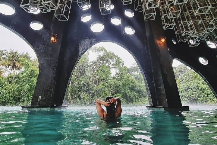 Tlaga Singha Infinity Pool, Jungle Swing & Tegallalang Rice Terraces Day Trip from Ubud