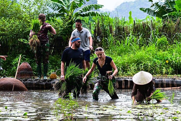 Ninh Binh Eco Tour: Buffalo Riding, Rice Planting & Fishing in Tam Coc photo 4