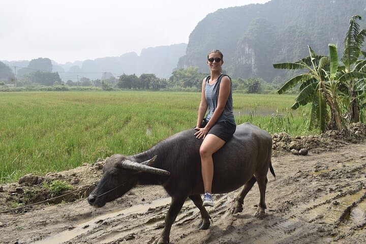 Ninh Binh Eco Tour: Buffalo Riding, Rice Planting & Fishing in Tam Coc photo 6