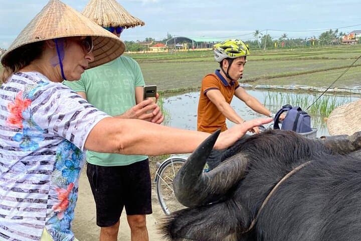 Hoi An Half-Day Rural Adventure: Cycling, Buffalo Riding & Bamboo Basket Boat photo 3