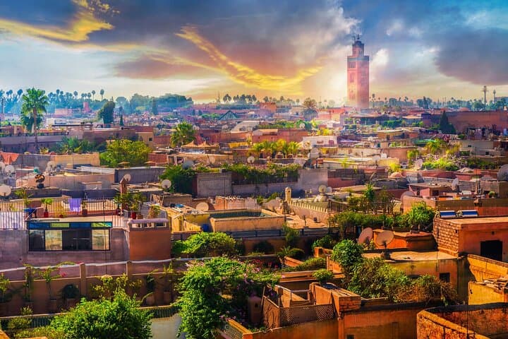 Casablanca to Marrakech: Private Day Tour to Majorelle, Bahia and Jemaa el-Fna