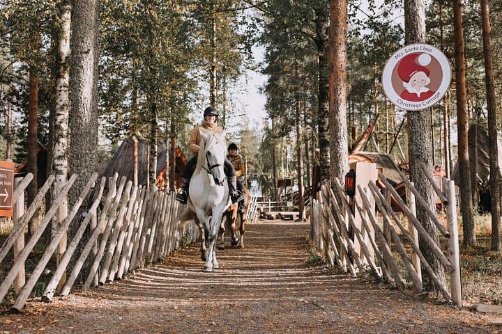 Finnhorse Riding at Santa Claus Village: Gentle Lapland Trails & Campfire photo 6