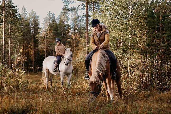 Moonlit Finnhorse Ride in Rovaniemi — Nighttime Forest Horseback Adventure photo 4