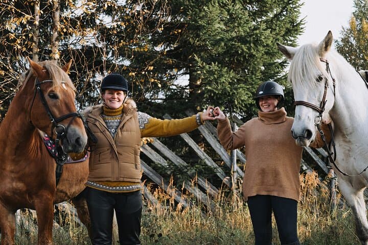 Finnhorse Riding at Santa Claus Village: Gentle Lapland Trails & Campfire