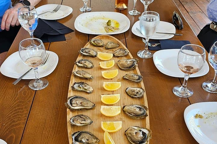 Luxury Wine and Oyster Tasting on Pelješac Peninsula — Ston Oysters & Vineyard Tour photo 2