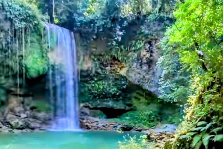 Amber Cove 5-Zipline & 7-Waterfalls Day Trip with Local Lunch photo 2
