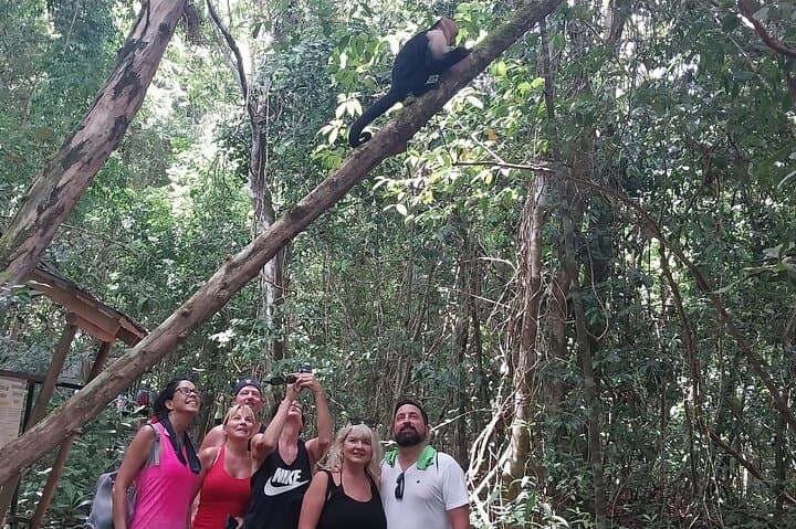 Manuel Antonio National Park guided wildlife walk: sloths, monkeys and coastal trails photo 3