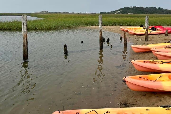 Cape Cod National Seashore Tour and Beech Forest Hike from Provincetown photo 2