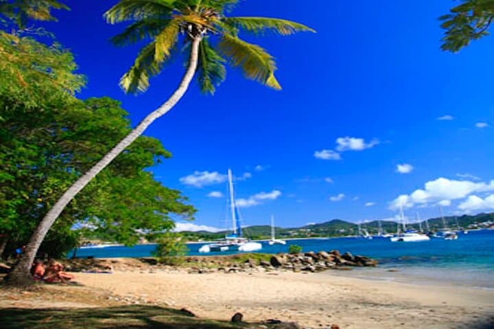 Skip-the-Line at Saint Lucia UVF: VIP Airport Service & Private Transfers photo 6