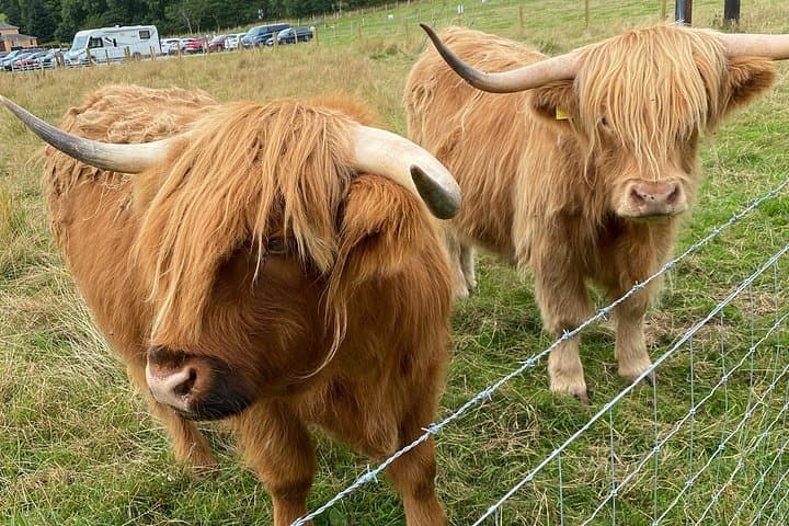 Loch Ness, Inverness & Outlander Sites Day Tour from Invergordon Port photo 4