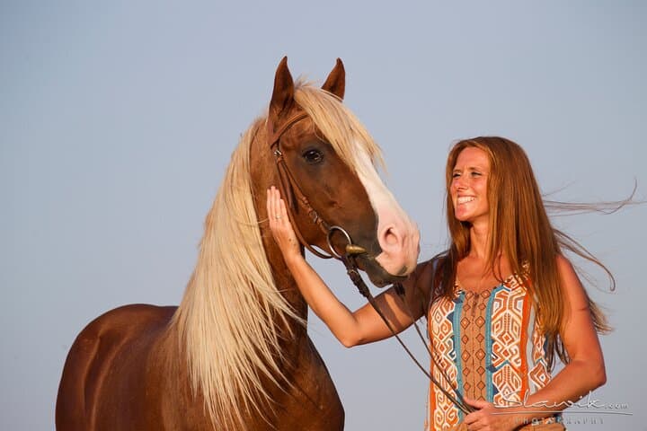Sinai Desert Horseback Ride: 1-Hour Guided Experience from Sharm El Sheikh