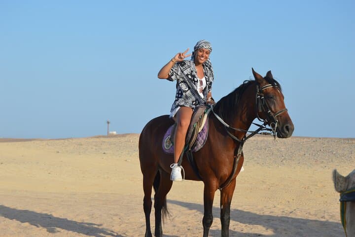 Sinai Desert Horseback Ride: 1-Hour Guided Experience from Sharm El Sheikh photo 2