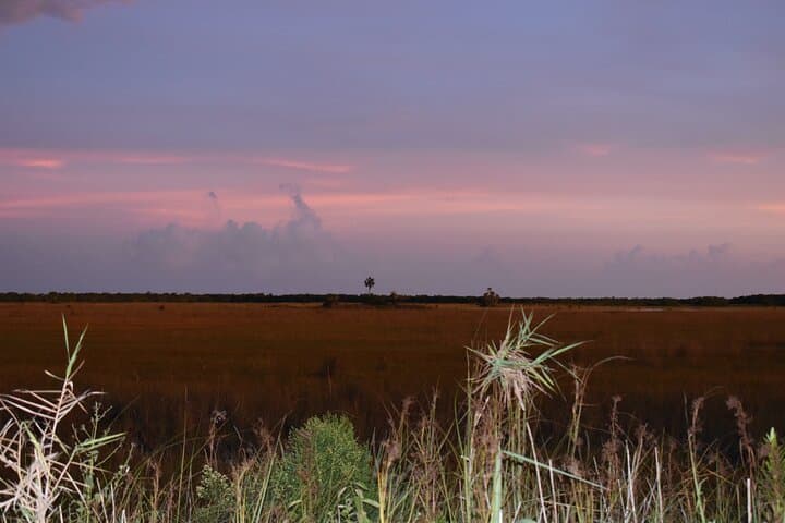 Big Cypress Jeep Tour: Guided Safari Through Fakahatchee Strand photo 6