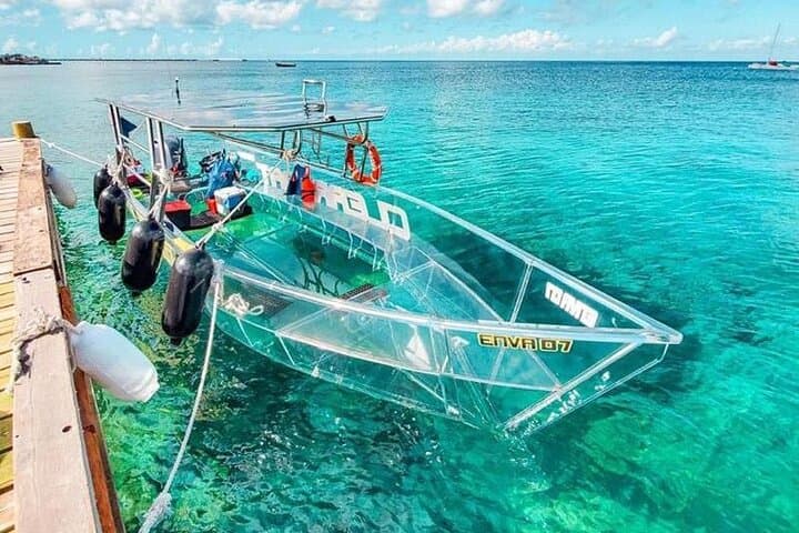 Glass-Bottom Private Tour: Nichupté Lagoon & Cancun Reefs photo 3