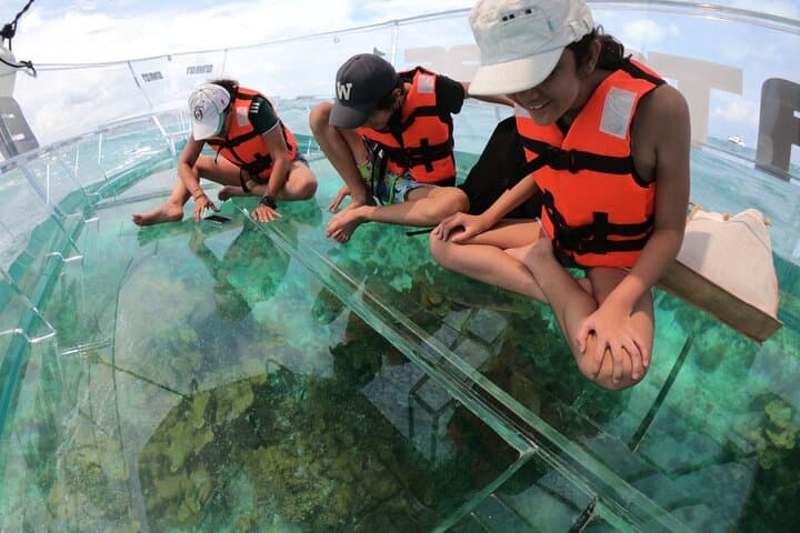 Glass-Bottom Private Tour: Nichupté Lagoon & Cancun Reefs photo 5