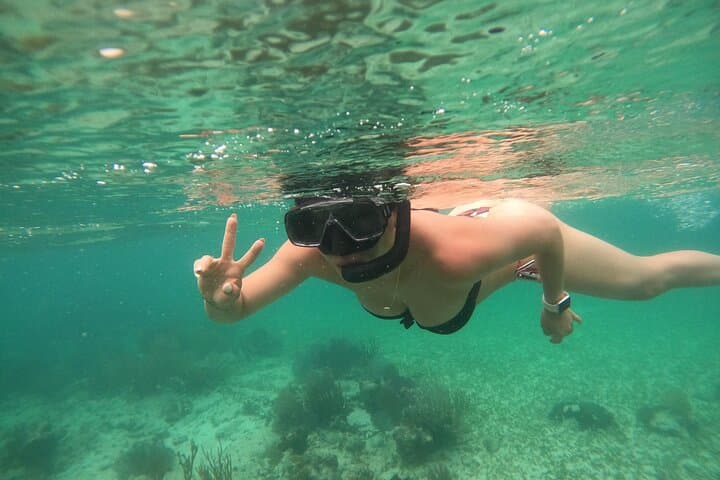 Costa Maya Snorkel with Turtles: Mahahual Reef Tour photo 5