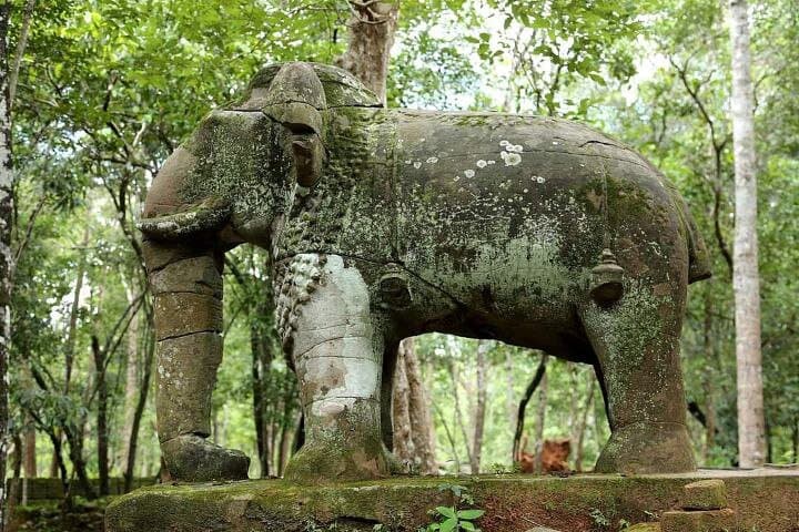 Beng Mealea and Koh Ker Full-Day Temple Tour from Siem Reap photo 3