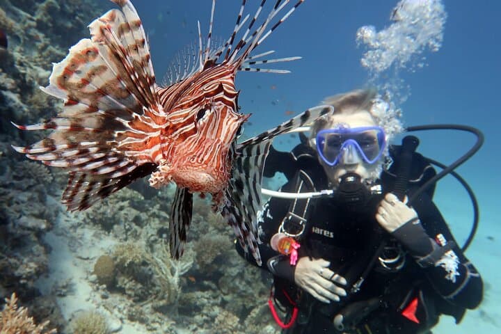 Discover Scuba Diving at MUSAN, Ayia Napa — Beginner 2‑Dive Experience photo 5