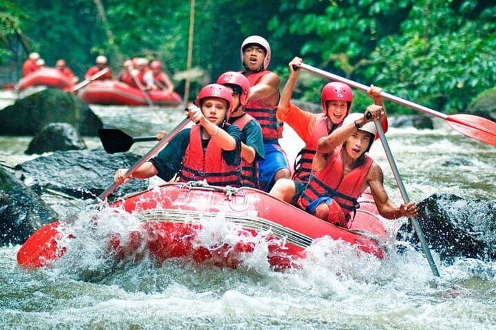 Ayung-River-Rafting-and-Tegallalang-Swing-Day-Trip-from-Ubud photo 2