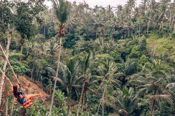 Ayung-River-Rafting-and-Tegallalang-Swing-Day-Trip-from-Ubud photo 3
