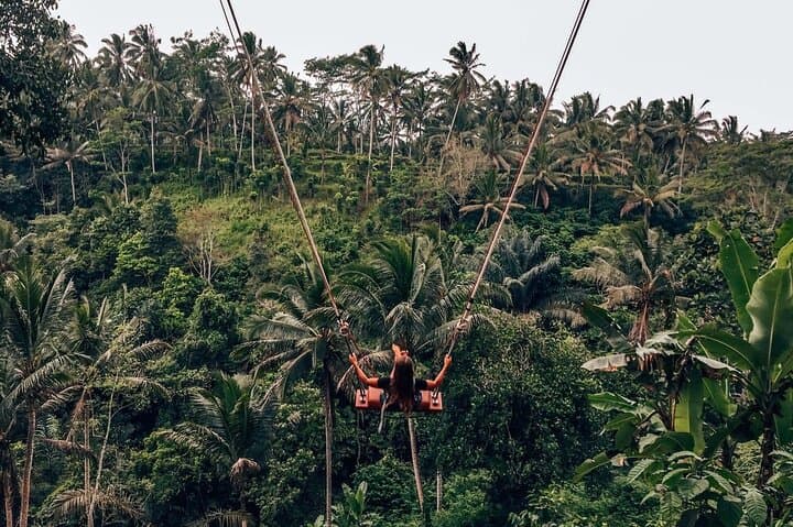 Ayung-River-Rafting-and-Tegallalang-Swing-Day-Trip-from-Ubud photo 4