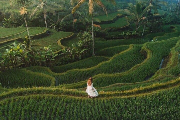 Ayung-River-Rafting-and-Tegallalang-Swing-Day-Trip-from-Ubud photo 6