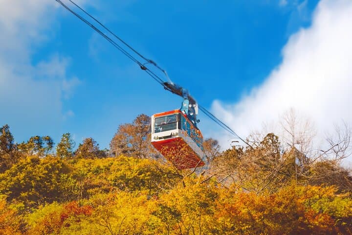 Naejangsan Fall Foliage Day Trip from Busan (Seoul Drop-off Option) photo 4