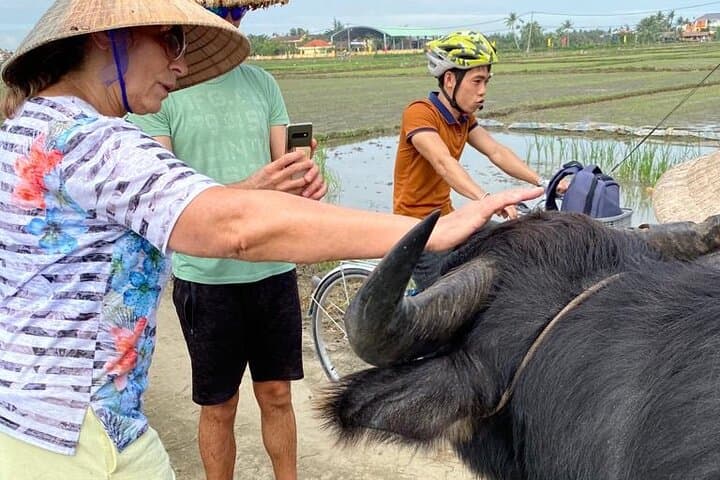 Buffalo Ride and Rice-Farming Experience in Hoi An: Hands-On Farm Visit