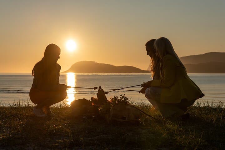 Tromsø to Sommarøy: Private Coastal Tour with a Local Guide photo 6