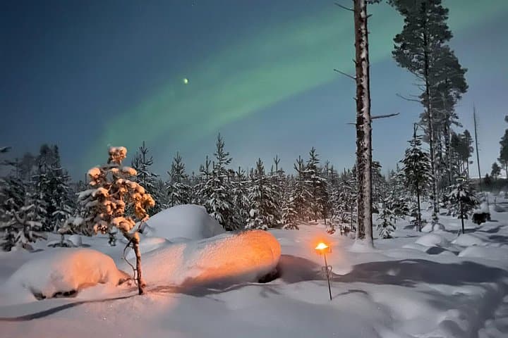 Moonlit Finnhorse Ride in Rovaniemi — Nighttime Forest Horseback Adventure photo 3