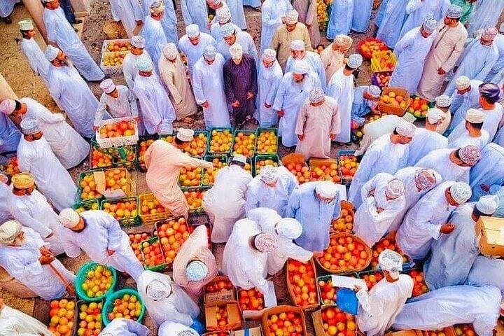 Nizwa Heritage and Jebel Akhdar Heights: Private Day Tour from Muscat photo 2