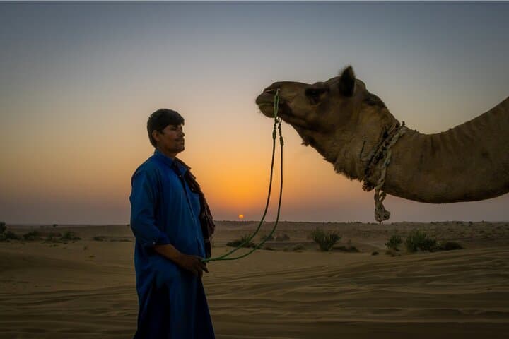 Sunset Camel Safari in Jaisalmer: Half-Day Thar Desert Adventure with Kuldhara Visit photo 3