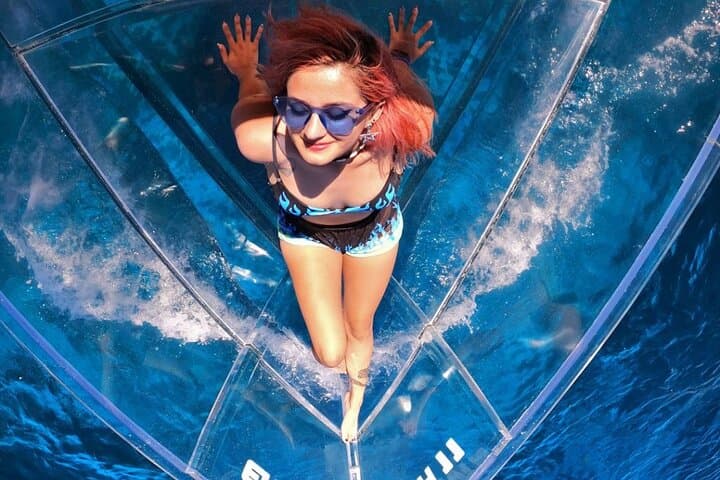 Private Glass-Bottom Boat Tour in Cozumel with Snorkeling at Lego Reef photo 3