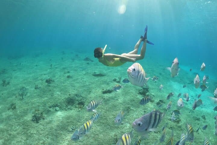 Private Glass-Bottom Boat Tour in Cozumel with Snorkeling at Lego Reef photo 4