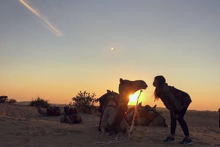 Jaisalmer Full-Day Sightseeing with Sunset Camel Safari in the Thar Desert
