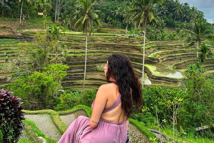 Full-Day Ubud Highlights: Monkey Forest, Rice Terraces, Swing & Holy Spring photo 4