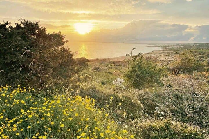 Cape Greko Guided Day Trip from Larnaca: Sea Caves, Bridge of Love & Coastal Walks photo 3