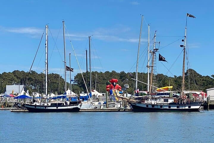 Private Crystal Coast Sightseeing: 8-Hour Custom Tour from Morehead City photo 2
