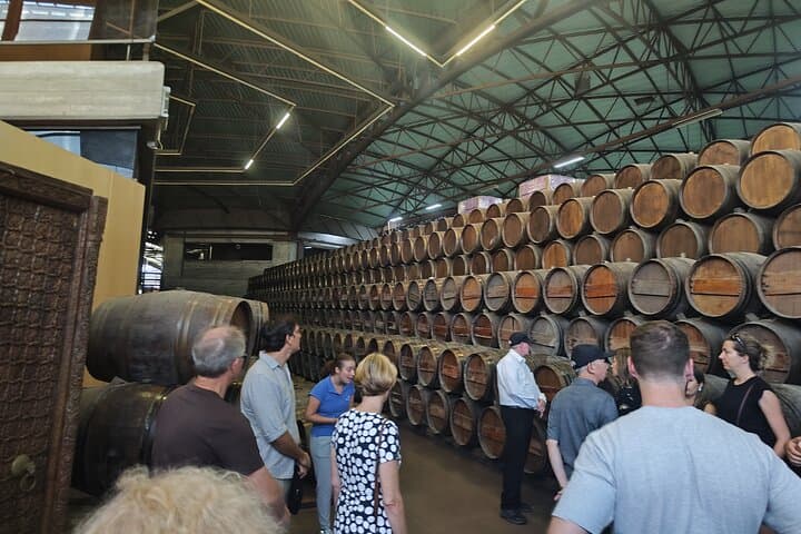 Azeitão Olive, Moscatel & Torta Tour — Moscatel Route from Lisbon photo 5