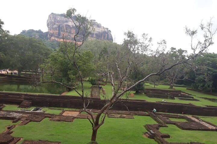 Sigiriya, Dambulla & Minneriya: Private Day Tour from Kandy photo 5