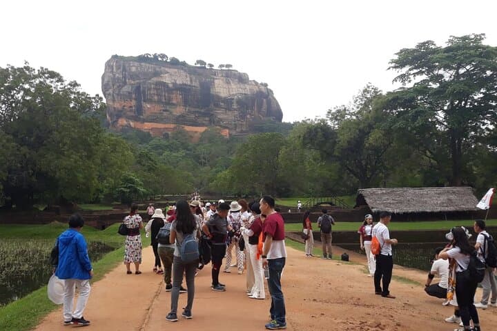 Sigiriya, Dambulla & Minneriya: Private Day Tour from Kandy photo 6