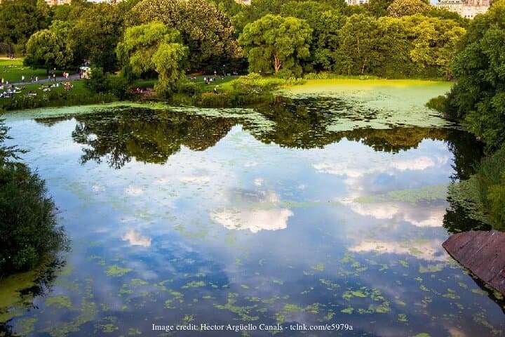 Central Park Filming Locations Private Tour — NYC Movie & TV Walk photo 3