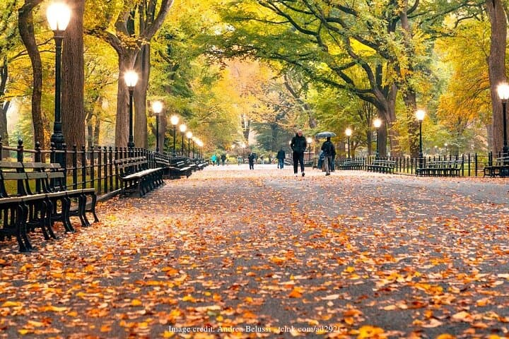 Central Park Filming Locations Private Tour — NYC Movie & TV Walk photo 2