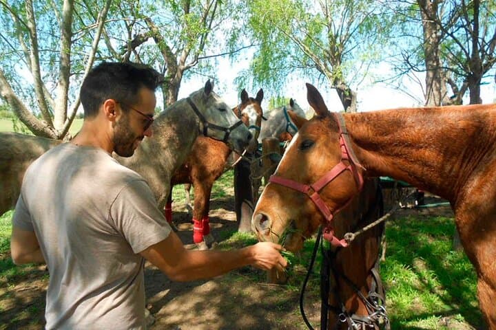 Estancia Horseback Riding and Polo Day Trip from Buenos Aires photo 4