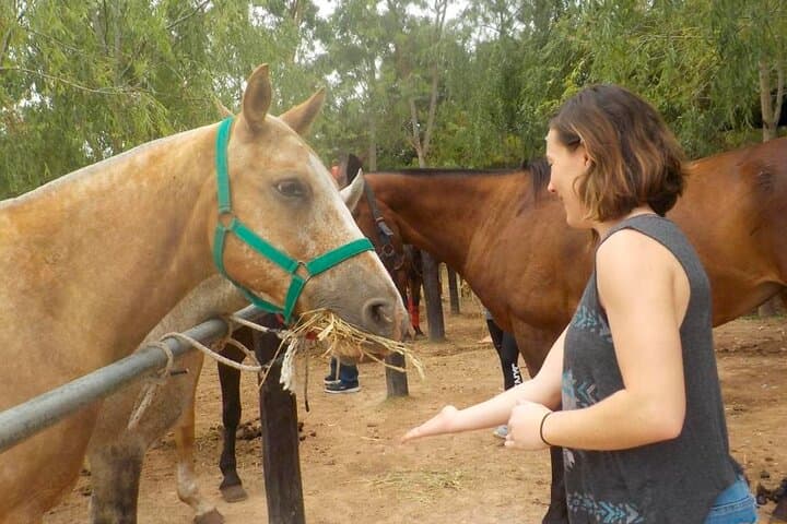 Estancia Horseback Riding and Polo Day Trip from Buenos Aires photo 5