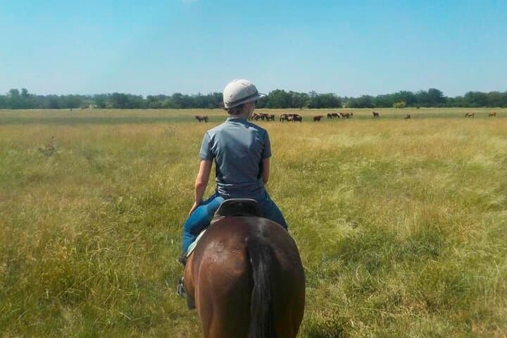 Estancia Horseback Riding and Polo Day Trip from Buenos Aires photo 3